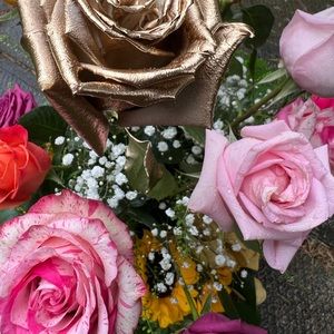 Meet your Posher, litchi